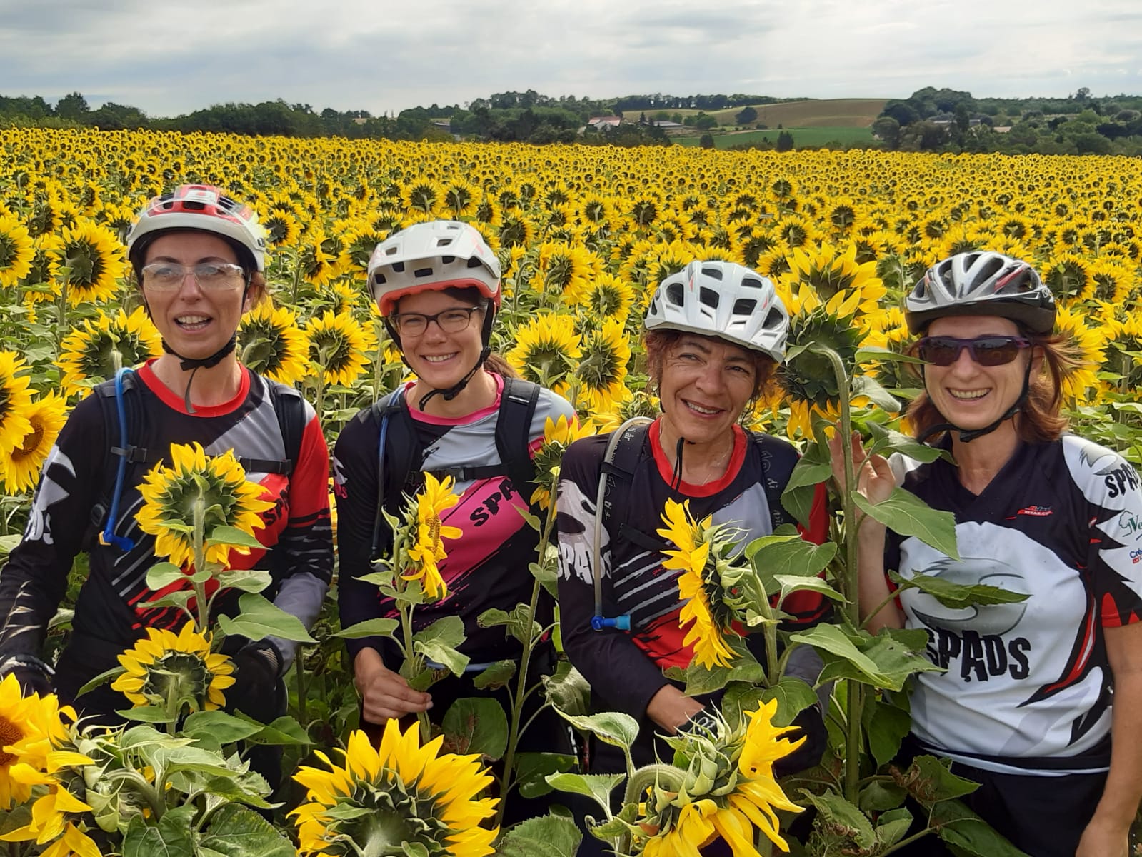 Tournesols
