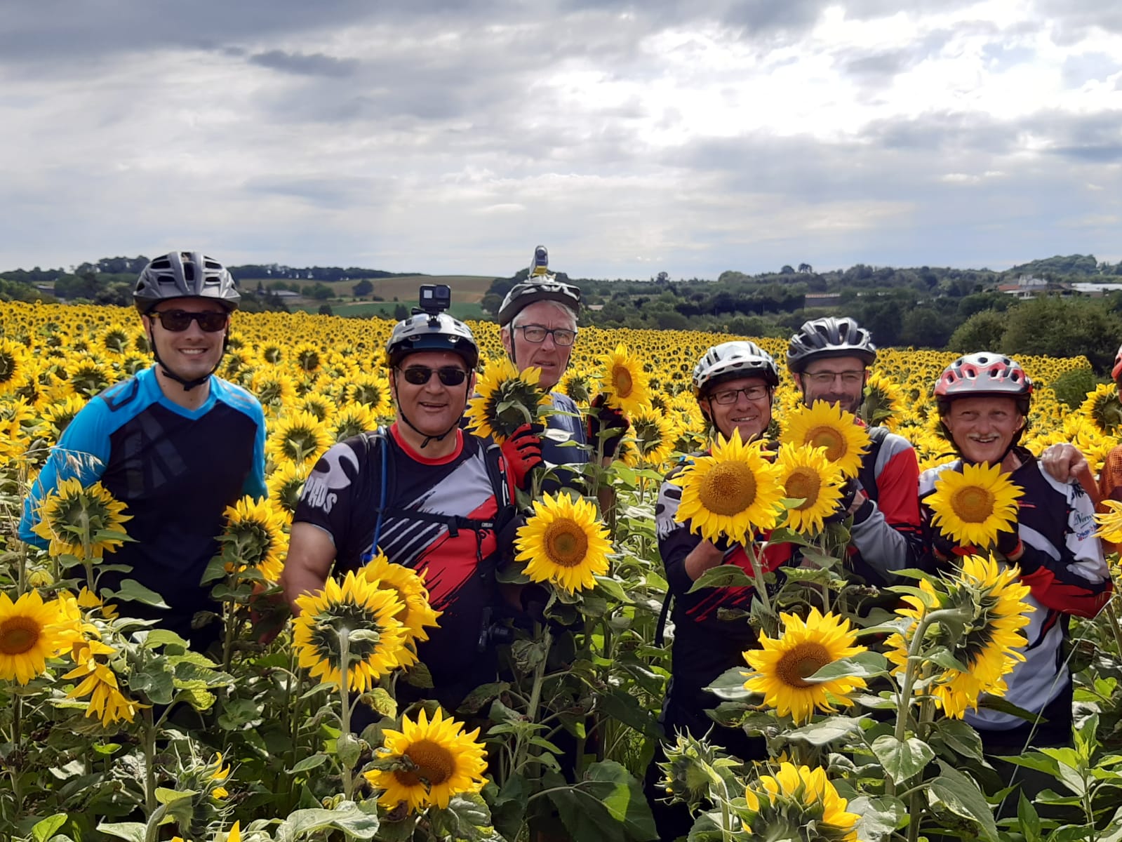 Tournesols